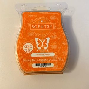 Scentsy Wax Bar